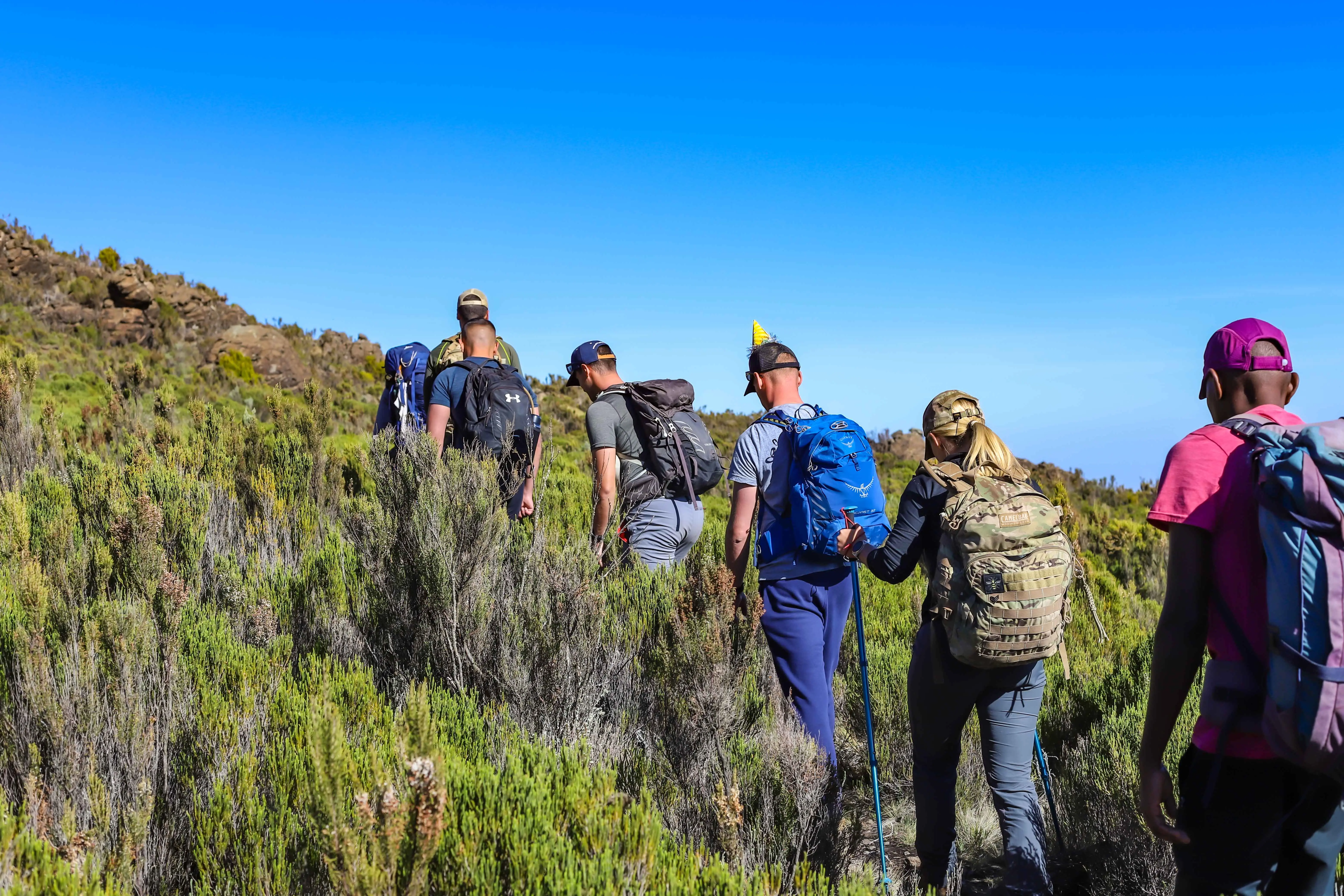 Mount Kenya Hike