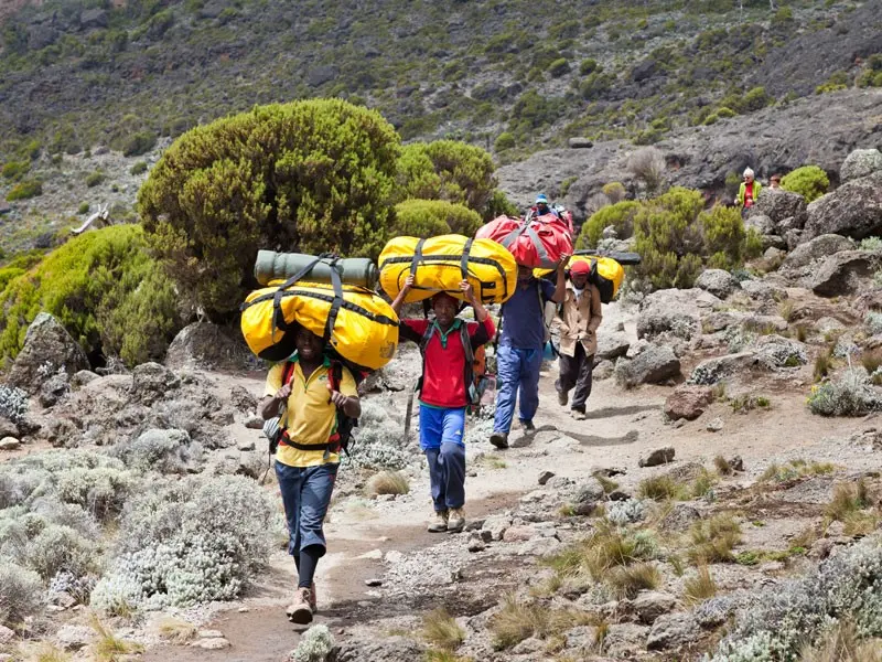 Mount Kilimanjaro Hike Lemosho Route (7 Days)