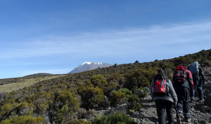 Mount Kilimanjaro Hike Marangu Route (6 Days)