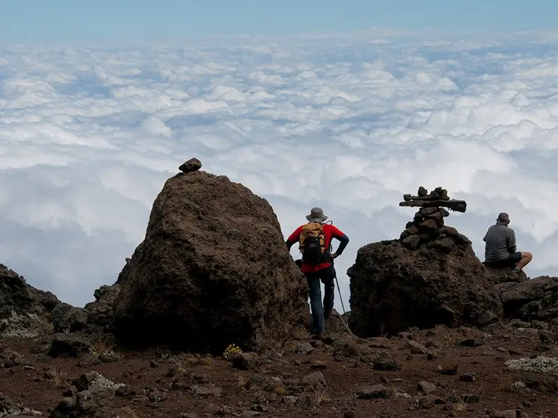 Mount Kilimanjaro Hike Northern Circuit Route (8 Days)
