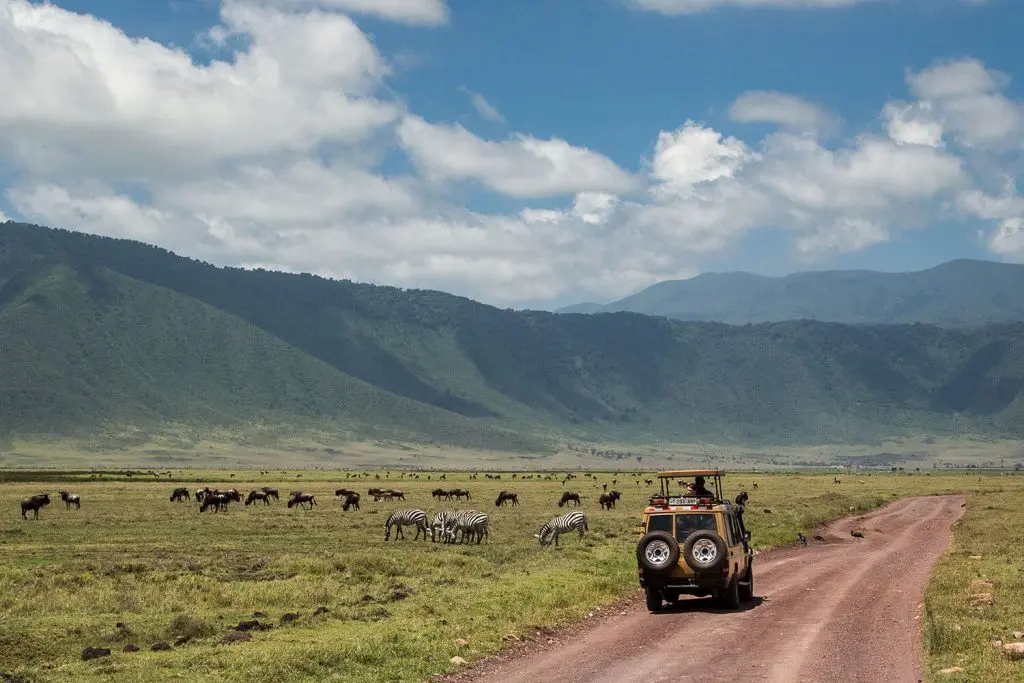 Tanzania Day Trip Excursions